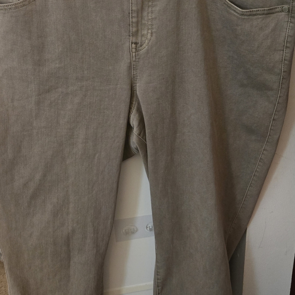 Torrid Jeggings